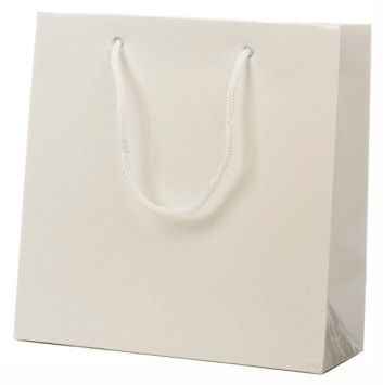 Cadeau tassen<br>Crocodile<br>25x10x25cm<br>(BxDxH) 2-kleuren Cadeau tassen<br>Crocodile<br>25x10x25cm<br>(BxDxH) 2-kleuren